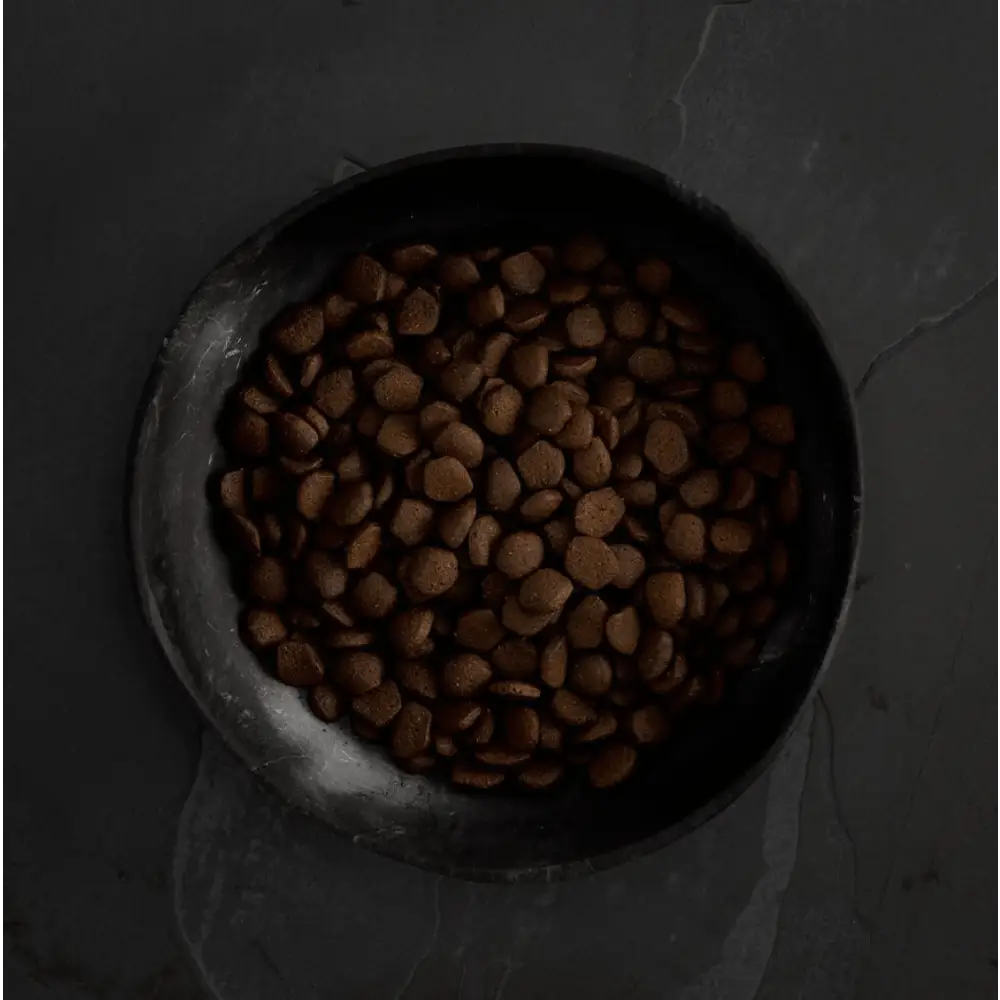 Ceramic bowl with brown lentils for Canagan Scottish Salmon grain free dog food
