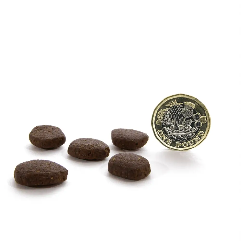 Dark chocolate cookies with floral design on one pound coin scale for Canagan Scottish Salmon
