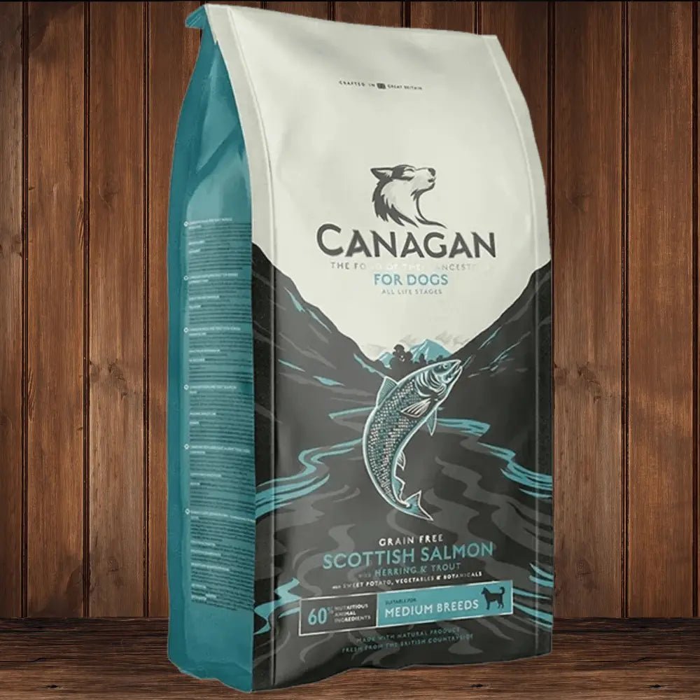 Canagan Scottish Salmon grain free dog food bag for healthy nutrition