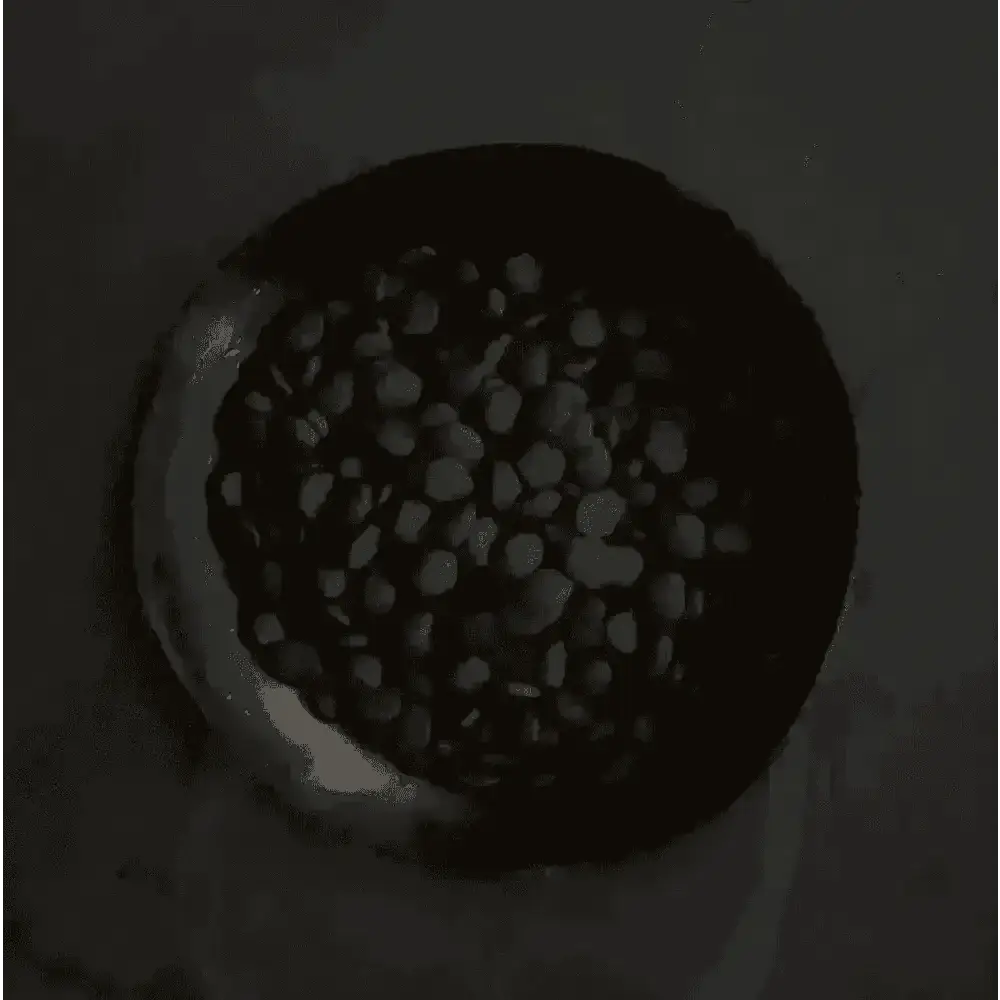 Ceramic bowl with brown lentils for Canagan Scottish Salmon grain free dog food