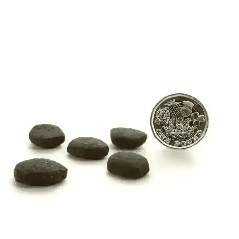 Dark chocolate cookies with floral design on one pound coin scale for Canagan Scottish Salmon