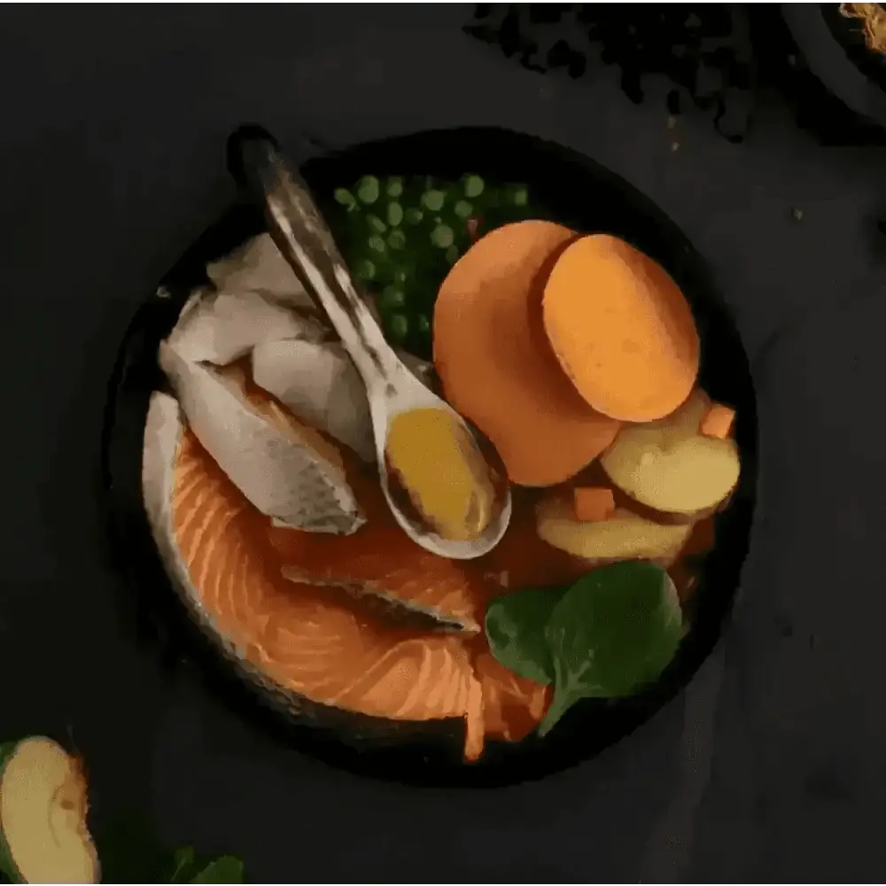 Salmon fillet with sweet potato slices and peas in a black bowl for Canagan Scottish Salmon grain free dog food