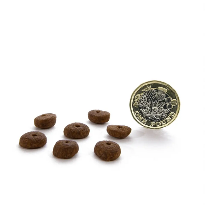 Canagan Dry Dog Food Small Breed Country Game | Natural Dry Dog Food