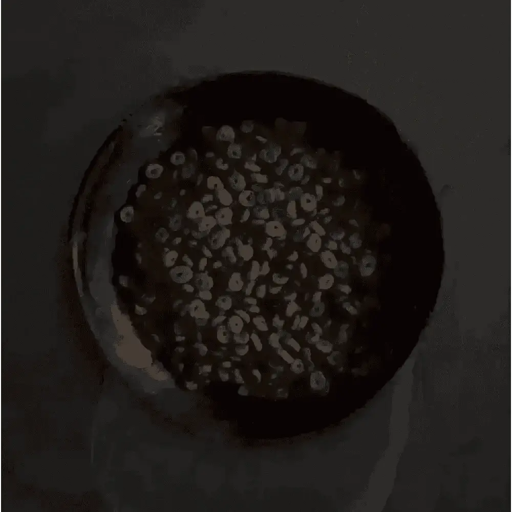 Chocolate-flavored cereal in a black bowl, part of Canagan Dry Dog Food Small Breed Dental with Proden PlaqueOff® for dogs