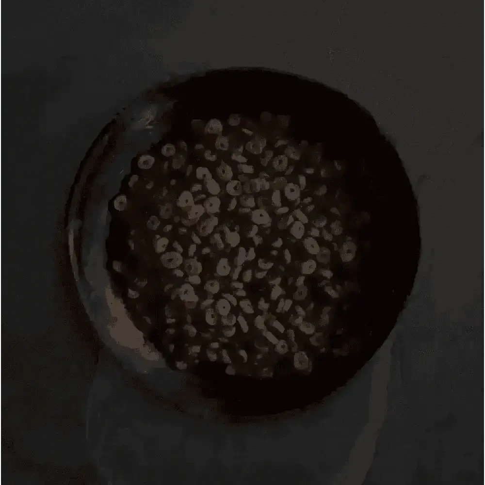 Chocolate-flavored cereal in a black bowl, part of Canagan Dry Dog Food Small Breed Dental with Proden PlaqueOff® for dogs