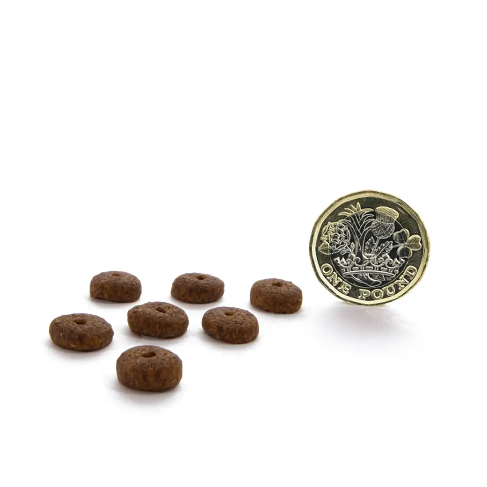 Chocolate donut-shaped dog treats with a hole, part of Canagan Dry Dog Food Small Breed Dental featuring Proden PlaqueOff® for oral health