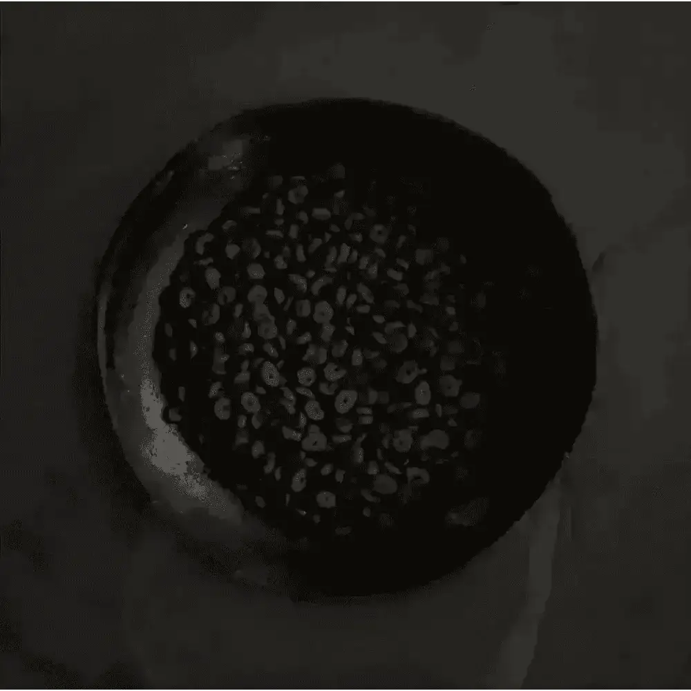 Black bowl of red beans atop Canagan’s Small Breed deboned Scottish salmon grain free dog food
