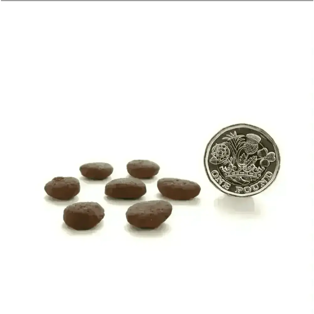 Grain free Canagan free range chicken cat treats, chocolate cookie-like biscuits