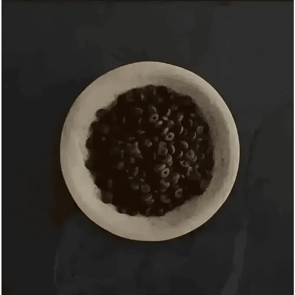 Canagan Light chocolate-colored cereal in white bowl with super digestible protein