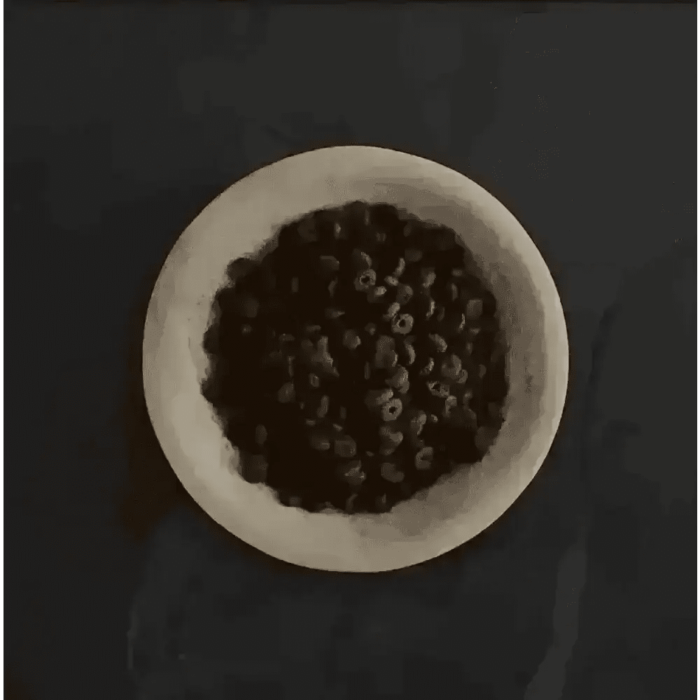 Canagan Light chocolate-colored cereal in white bowl with super digestible protein