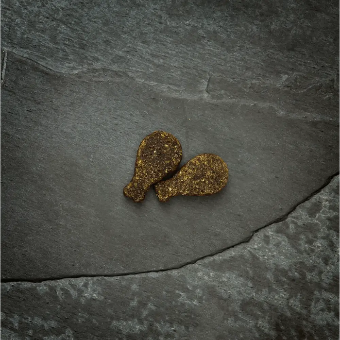 Canagan Quail Softies for Dogs Natural Dog Treats