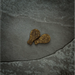 Canagan Quail Softies for Dogs Natural Dog Treats