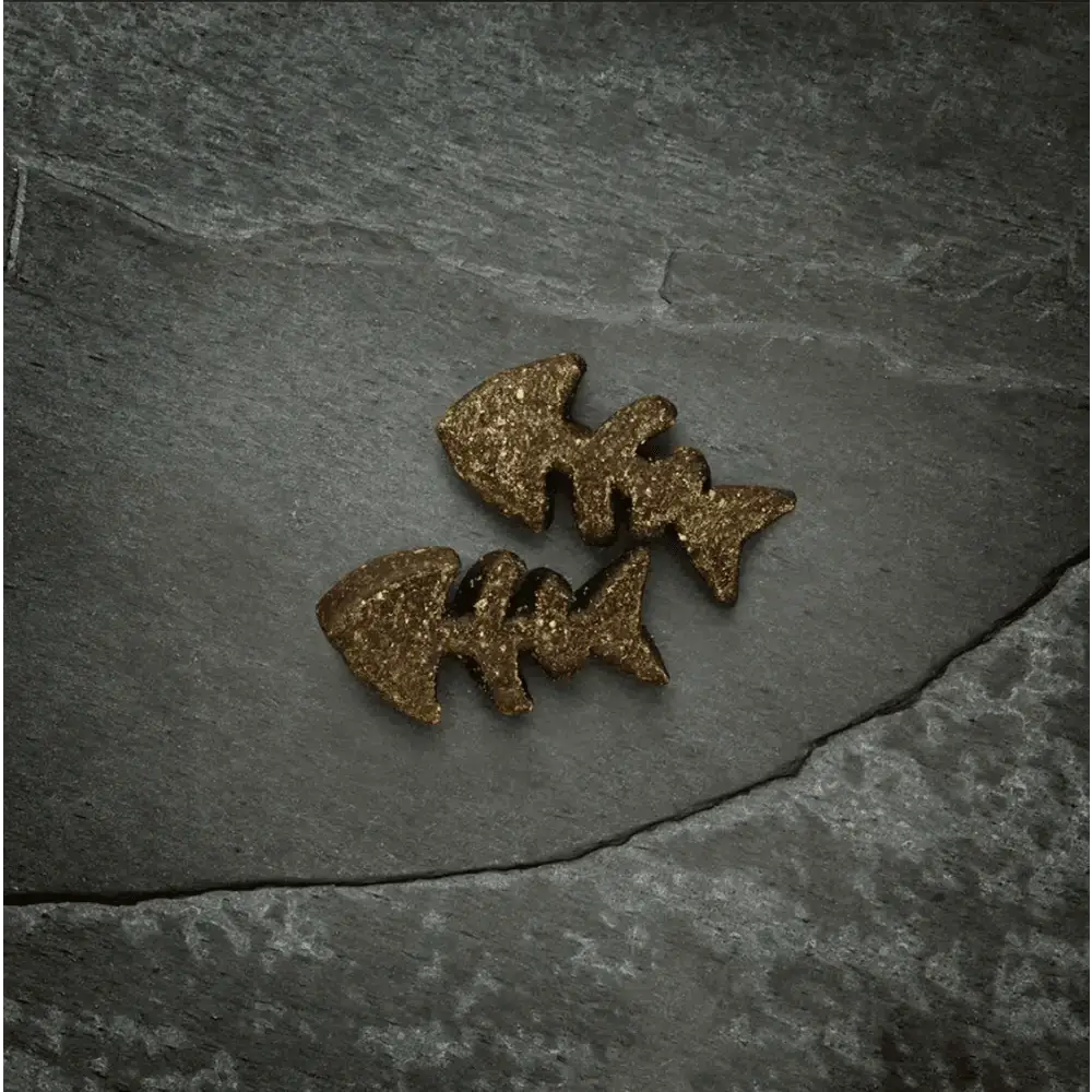 Golden fish-shaped cookies on slate surface for Canagan Salmon Softies for Dogs 200g