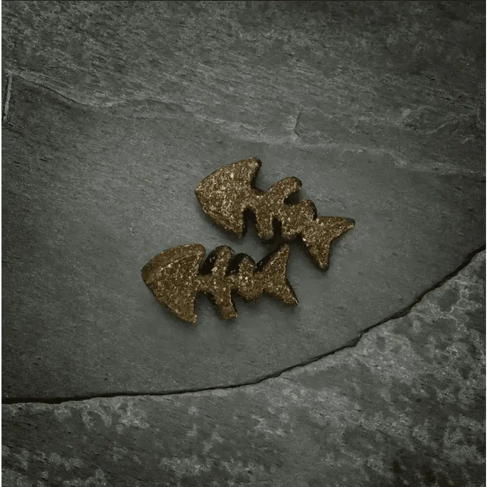 Golden fish-shaped cookies on slate surface for Canagan Salmon Softies for Dogs 200g