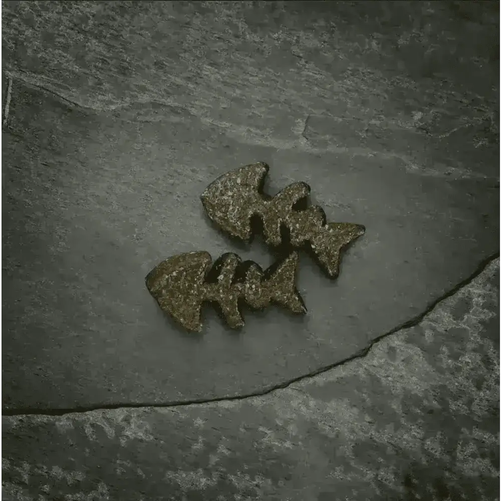 Golden fish-shaped cookies on slate surface for Canagan Salmon Softies for Dogs 200g
