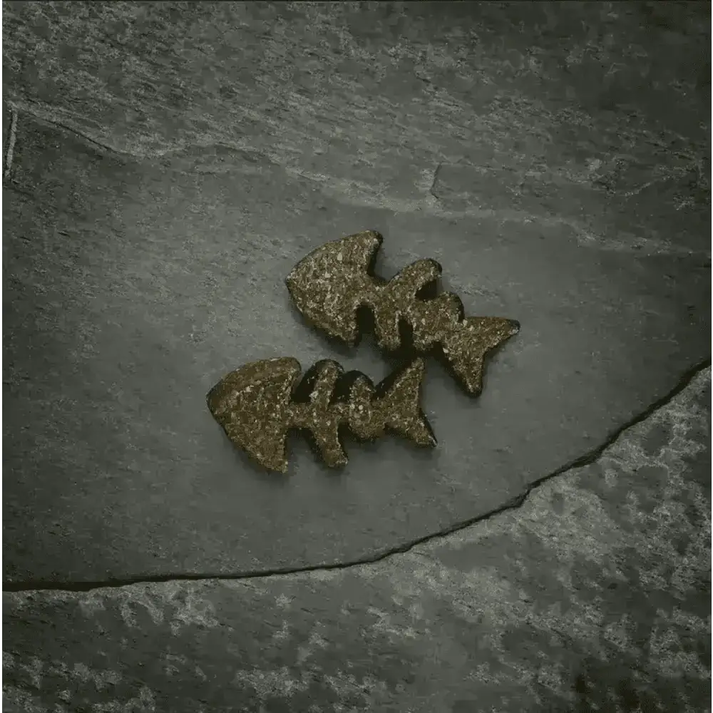 Golden fish-shaped cookies on slate surface for Canagan Salmon Softies for Dogs 200g