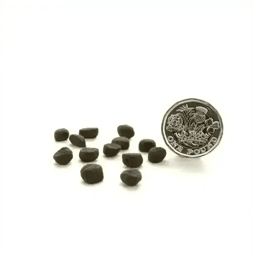 Canagan Scottish Salmon cat treats with deboned Scottish salmon bites and coin