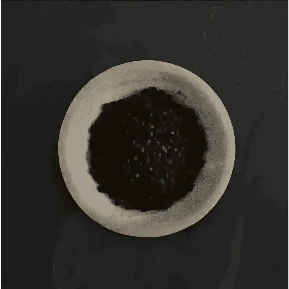 Ceramic bowl of dark brown peppercorns with Canagan Scottish Salmon for cats