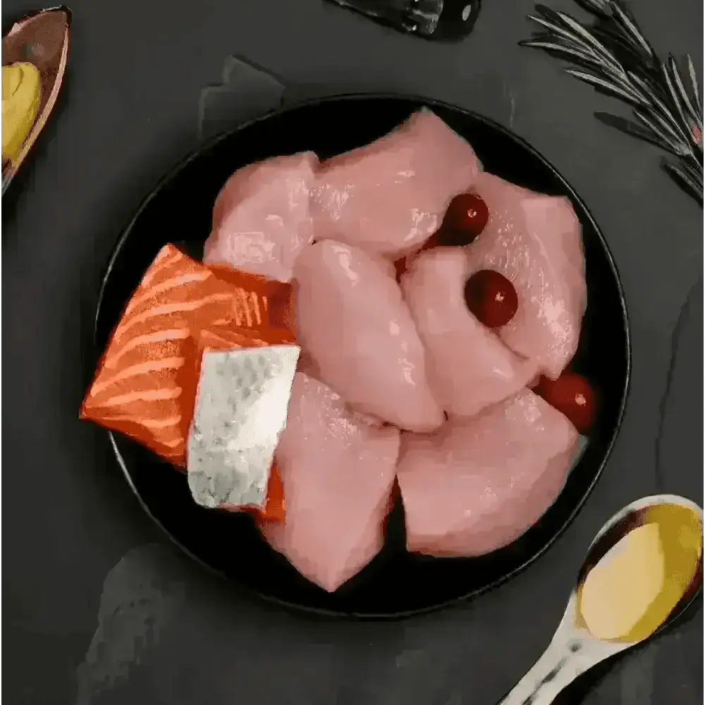 Canagan wet grain free chicken and salmon fillet with cranberries and rosemary on black plate