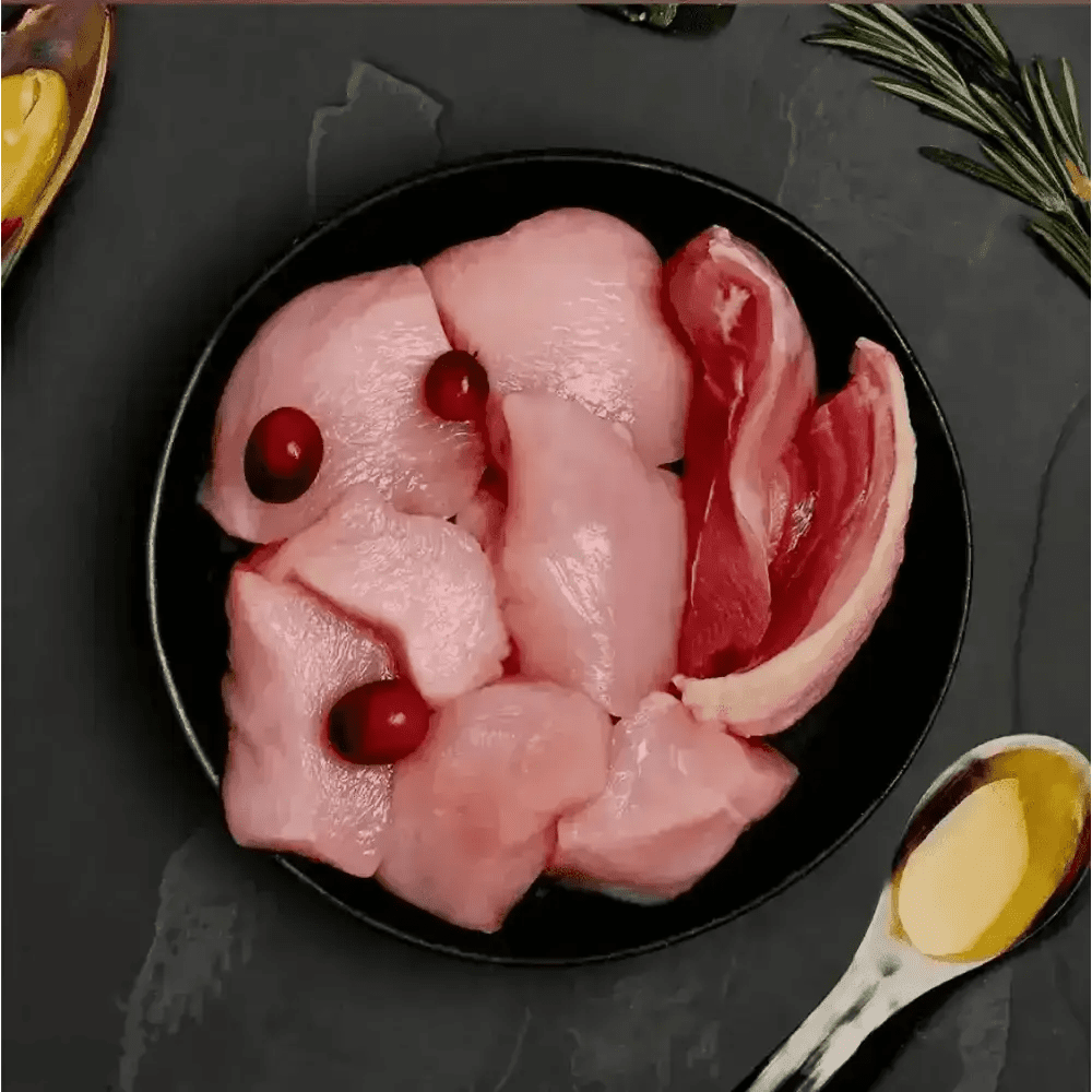 Canagan wet chicken and turkey pouch with raw pieces and cranberries