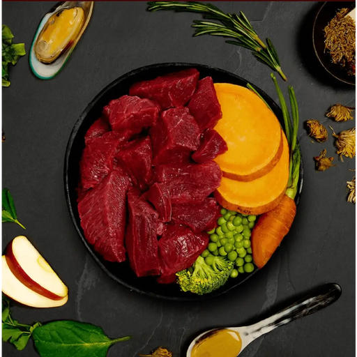 Canagan Wet Dog Food Can - Beef Stew | Natural Wet Dog Food