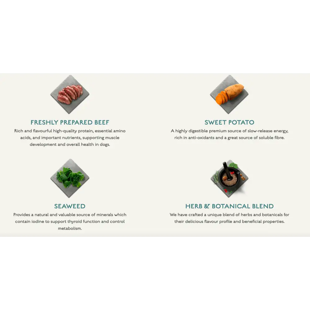 Organic 4-color dog food mix with beef, sweet potato, seaweed, and herbs in Canagan Wet Dog Food Can Beef Stew