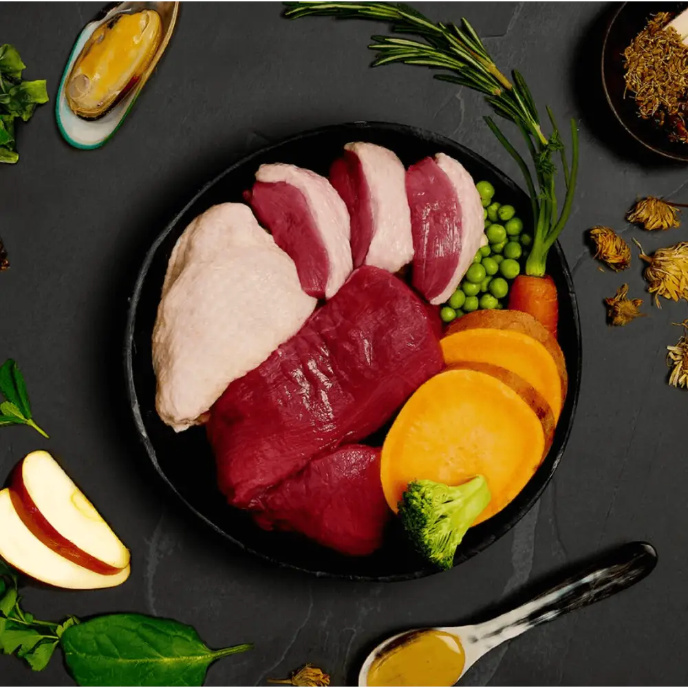 Canagan Country Game wet dog food: black plate with raw red tuna, green peas, delivered fresh