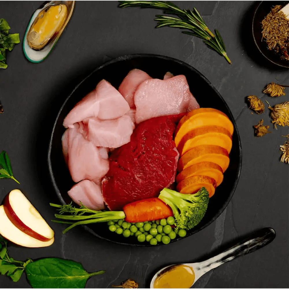 Canagan Puppy Feast: grain-free wet dog food with raw meats and organic vegetables