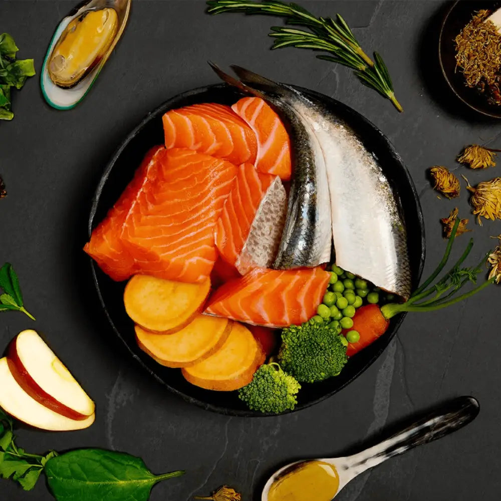Canagan wet dog food: salmon & herring supper with fresh sashimi slices
