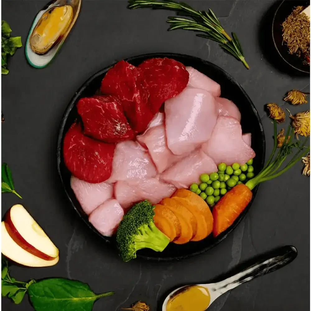 Canagan Chicken & Wild Boar Casserole with raw meats and veggies