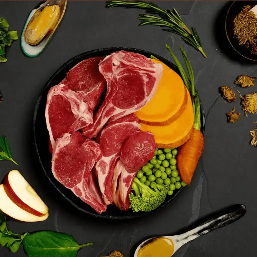 Black plate with raw meat and vegetables for Canagan Wet Dog Food Lamb Casserole, delivered fresh