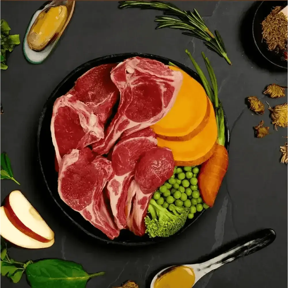 Black plate with raw meat and vegetables for Canagan Wet Dog Food Lamb Casserole, delivered fresh