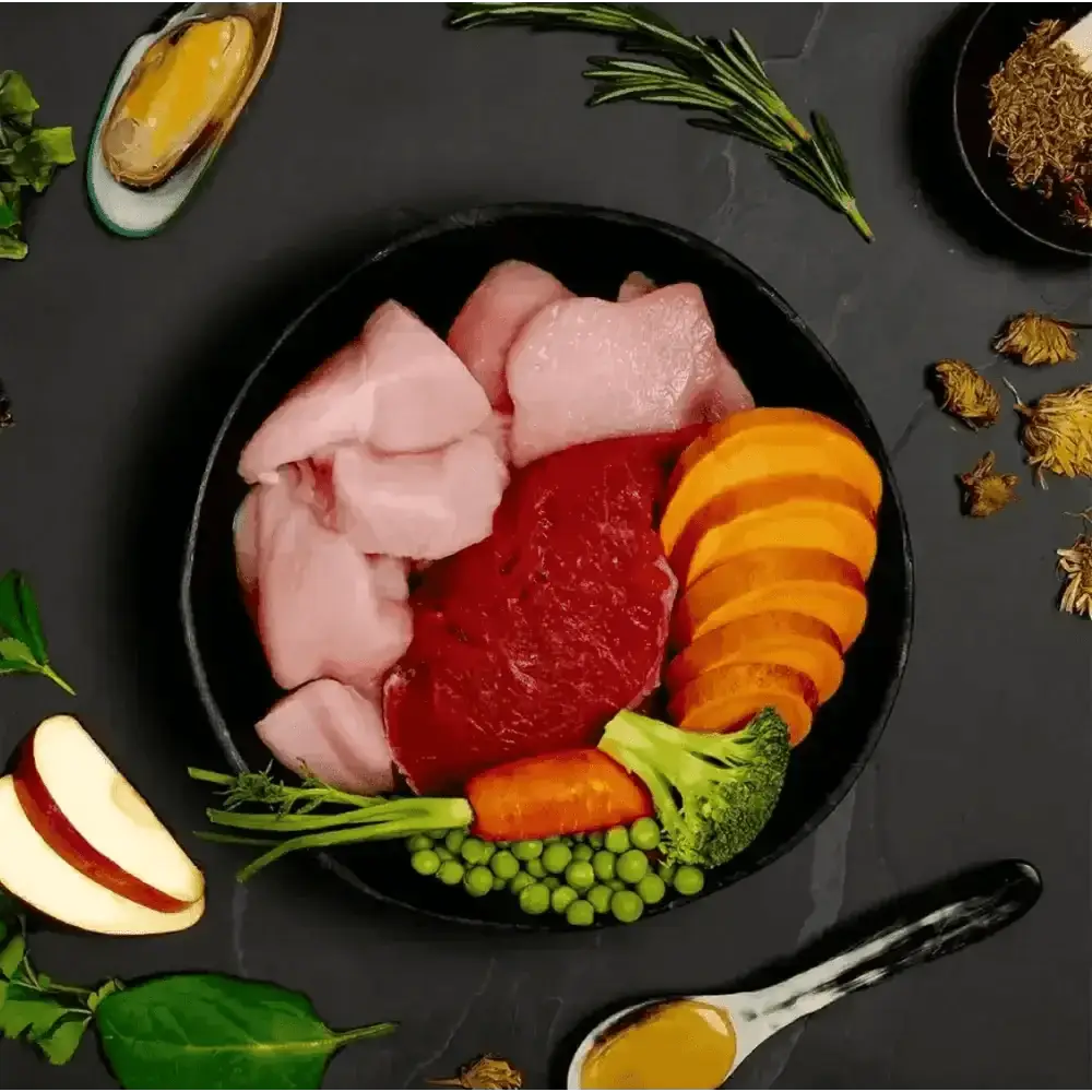 Canagan Puppy Feast: grain-free wet dog food with raw meats and organic vegetables