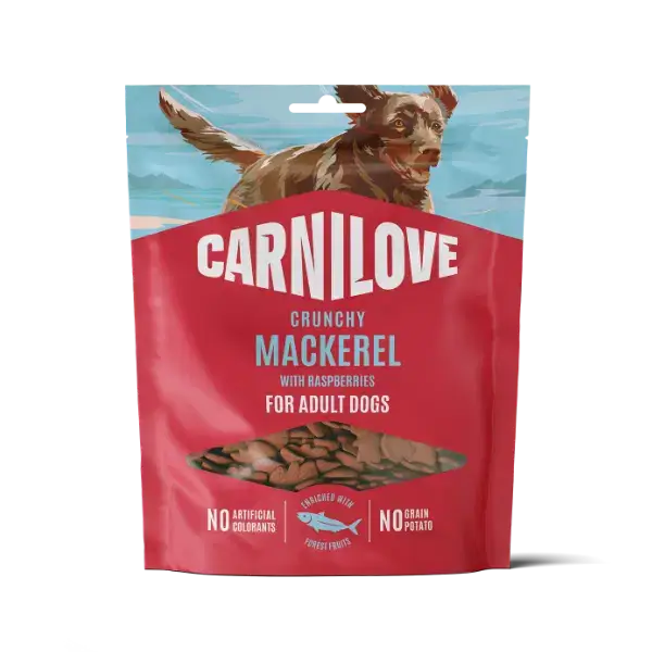 CarniLove dog food package with a dog on a blue background