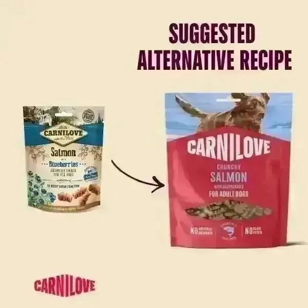 Carnilove Salmon with Blueberries Crunchy Dog Treats - Natural for Dogs | Pet Shop