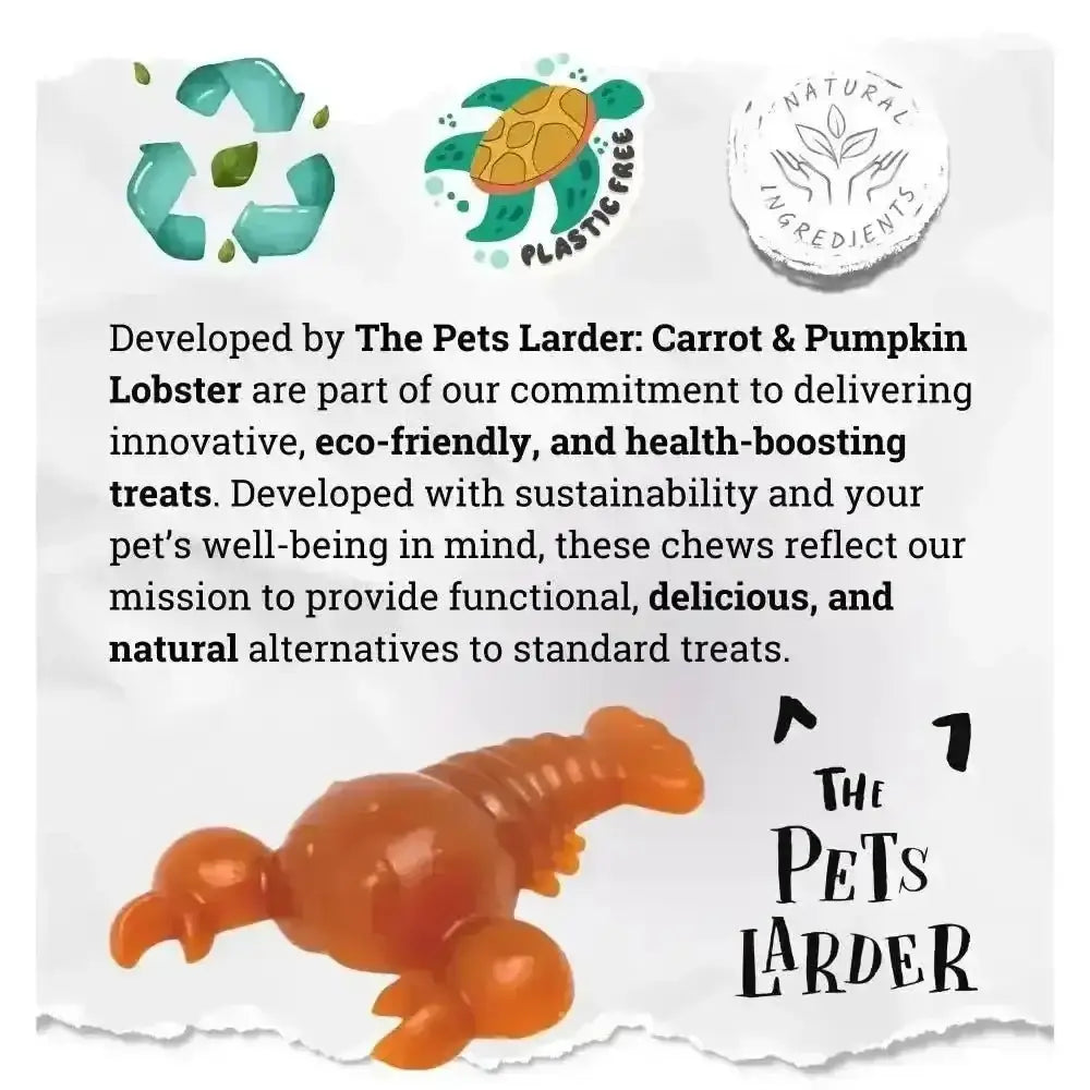 Orange pumpkin lobster chew toy for dogs with natural ingredients and plastic-free design