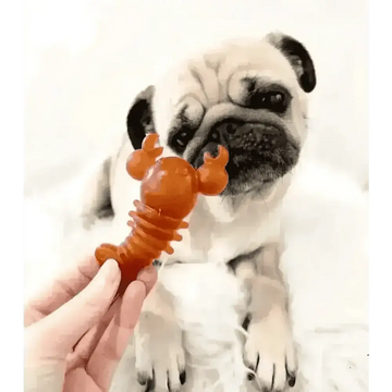 files/carrot-pumpkin-lobster-chew-dogs-natural-dog-pet-shop-603.webp