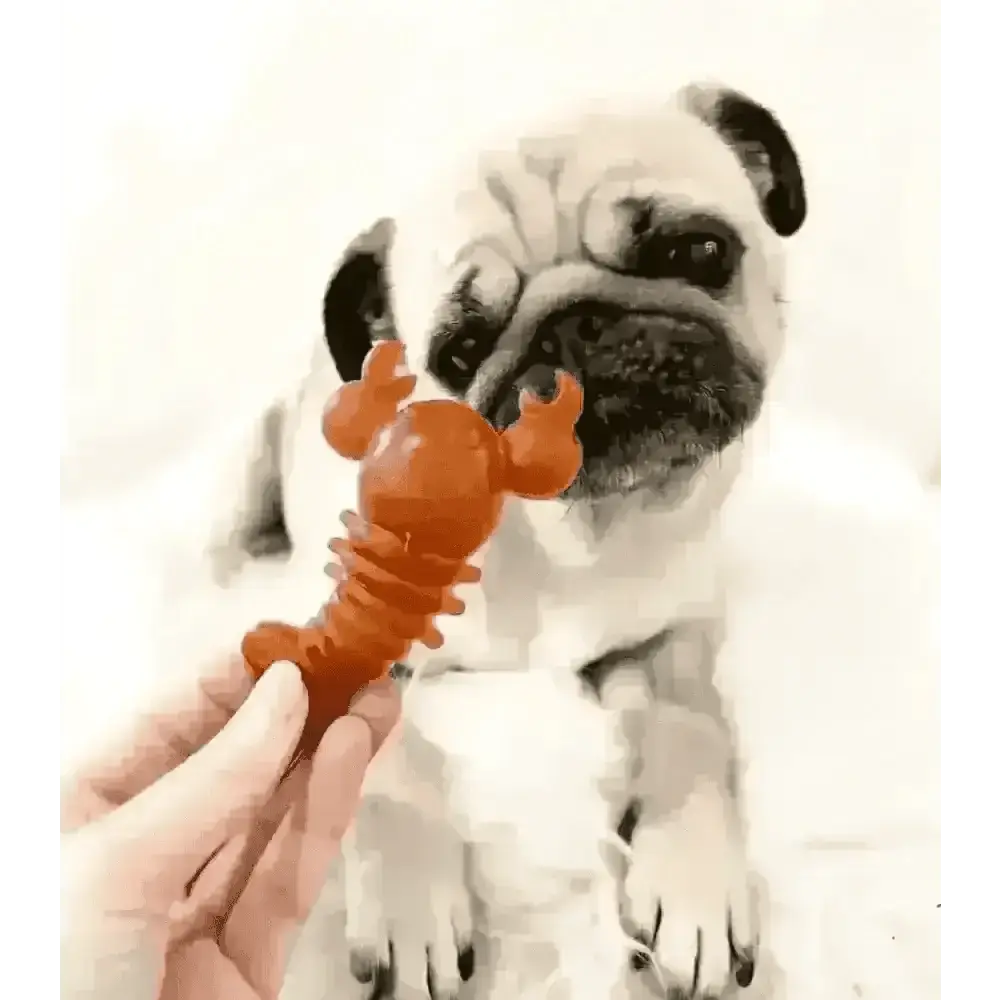 Lobster-shaped dog toy in orange and brown hues for Carrot & Pumpkin Lobster Chew