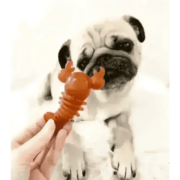 files/carrot-pumpkin-lobster-chew-dogs-natural-dog-pet-shop-646.webp