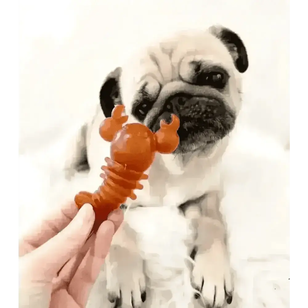 Lobster-shaped dog toy in orange and brown hues for Carrot & Pumpkin Lobster Chew