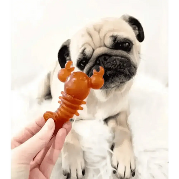 files/carrot-pumpkin-lobster-chew-dogs-natural-dog-pet-shop-801.webp