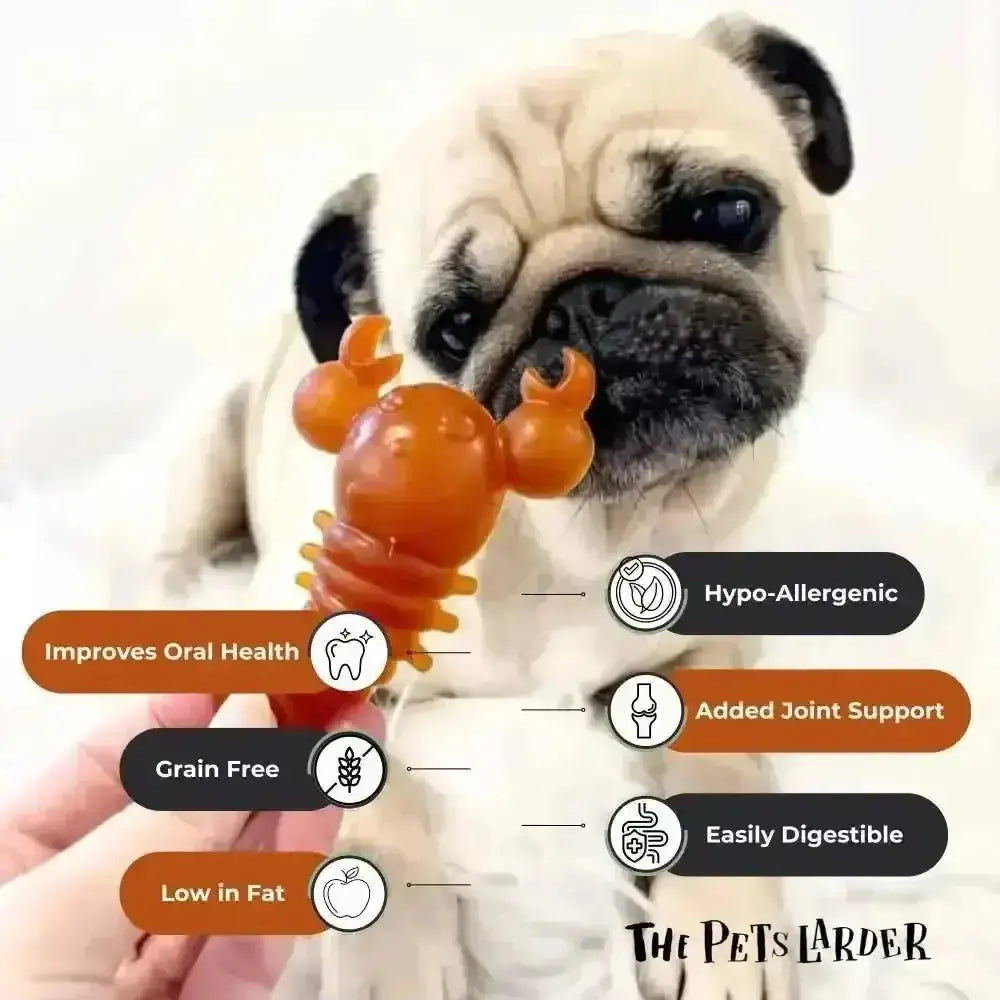 Pumpkin Lobster Chew for Dogs: Orange and brown rubber lobster-shaped dog toy