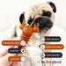 Carrot & Pumpkin Lobster Chew For Dogs - 2kg Bag - Natural Dog Chew