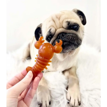 files/carrot-pumpkin-lobster-chew-for-dogs-natural-dog-741.webp