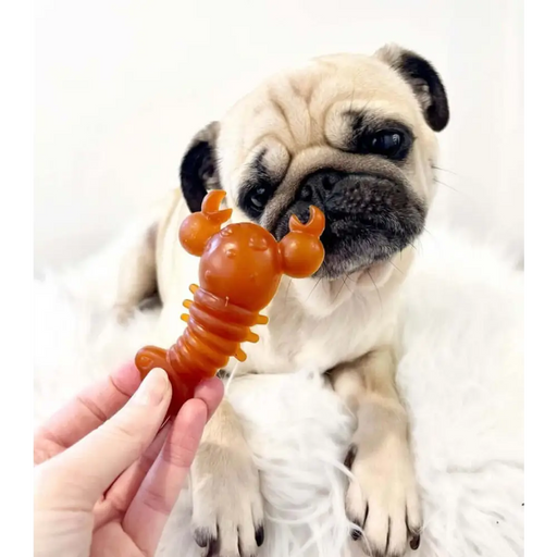 Carrot & Pumpkin Lobster Chew For Dogs - Natural Dog Chew