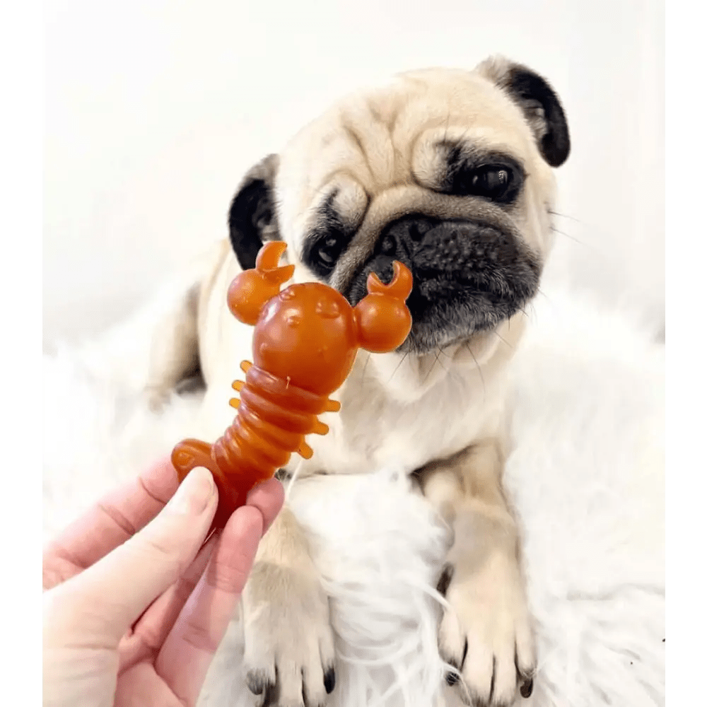 Lobster-shaped dog toy in orange and brown hues for Carrot & Pumpkin Lobster Chew