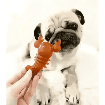 files/carrot-pumpkin-lobster-chew-for-dogs-natural-dog-chew-6899591.webp