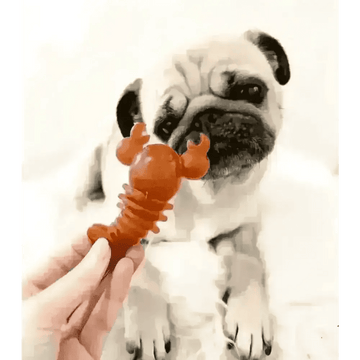files/carrot-pumpkin-lobster-chew-for-dogs-natural-dog-chew-8436312.webp