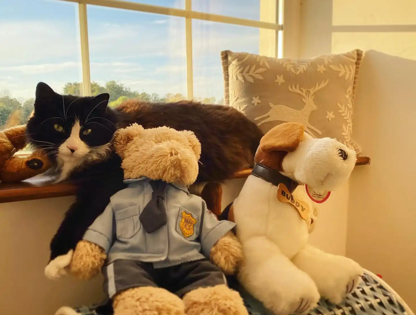 Cat with stuffed animals.