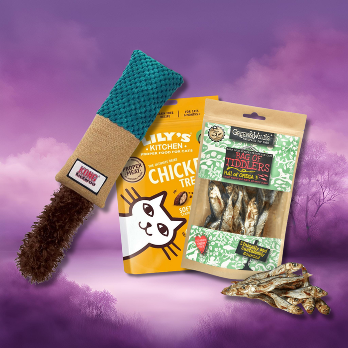 Cat Toy and Treat Bundle